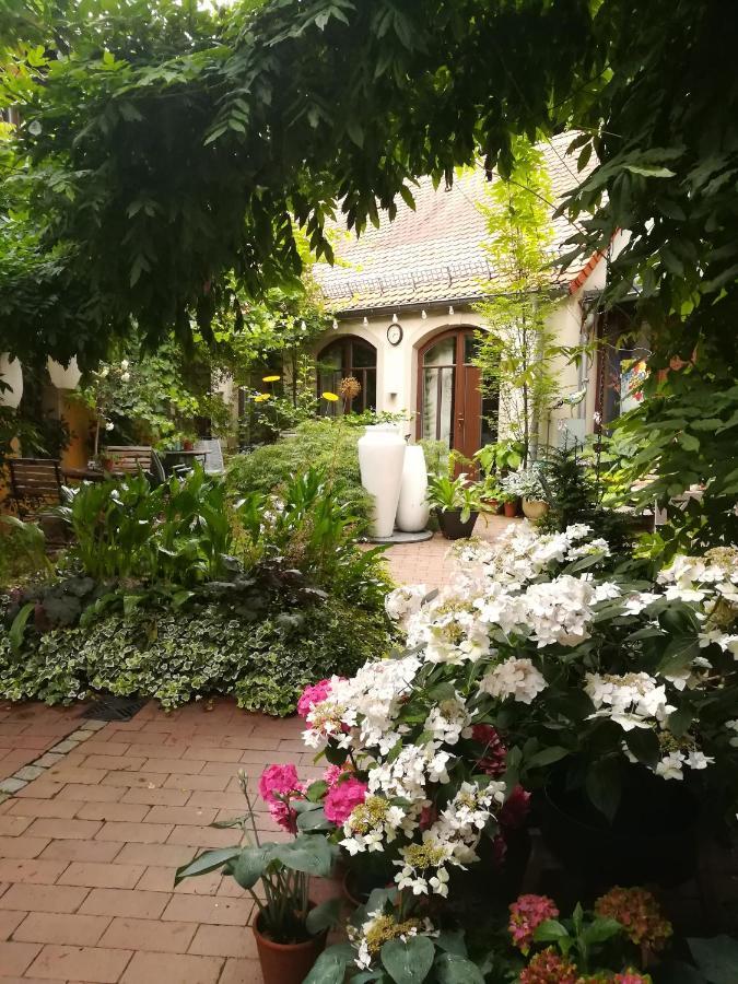 Faehrhaus Meissen B&B Esterno foto