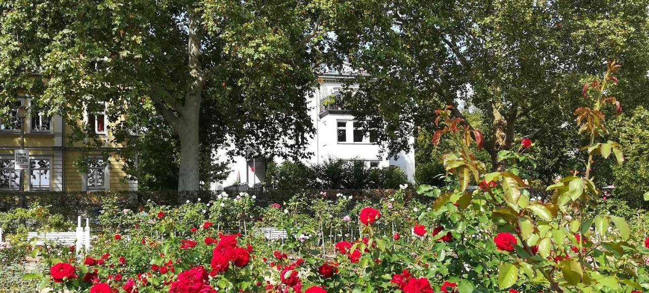 Faehrhaus Meissen B&B Esterno foto