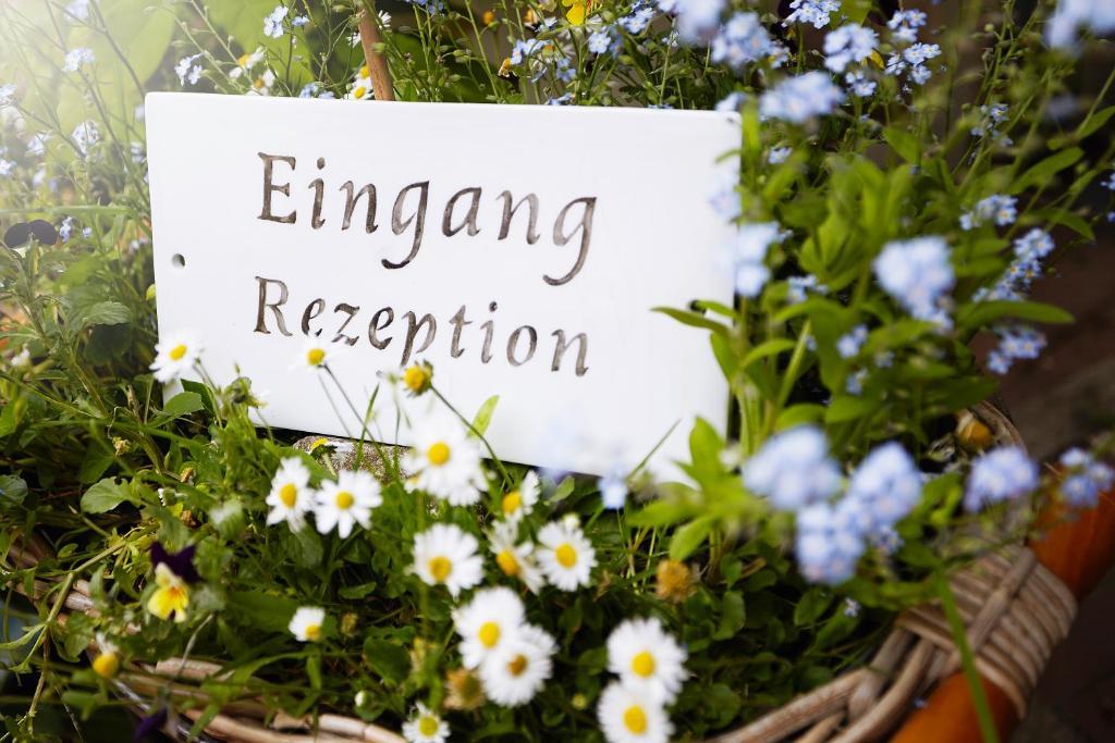 Faehrhaus Meissen B&B Esterno foto